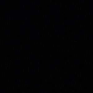 Meet your Posher, Bridget